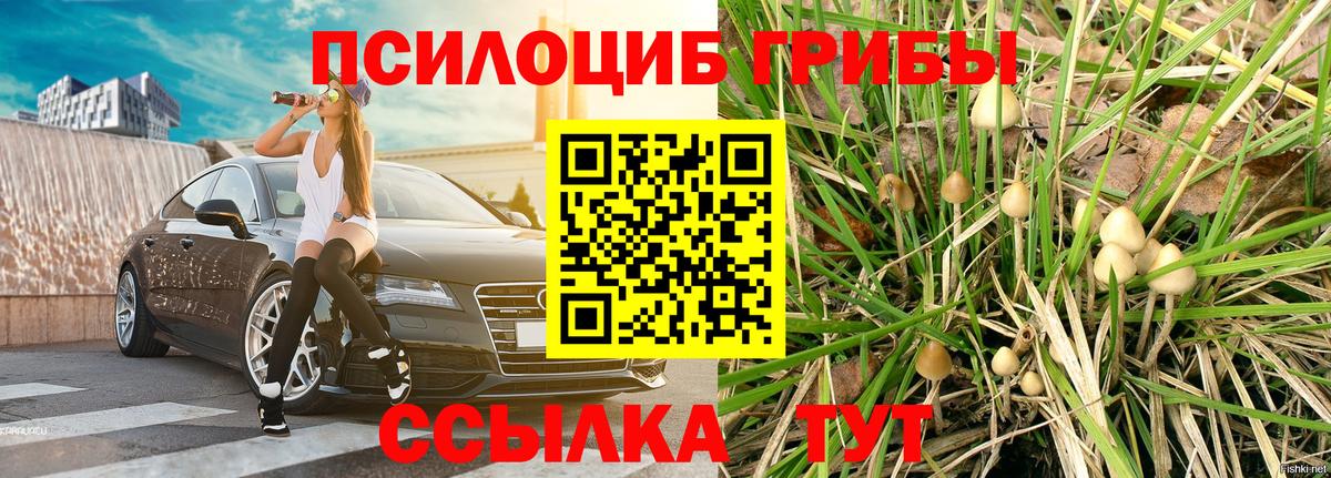 Конопля Балашиха