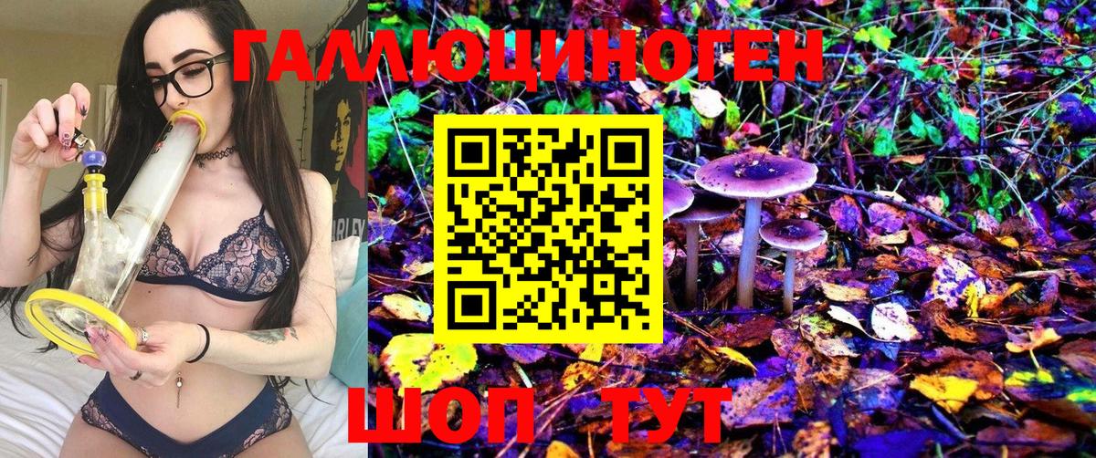 Галлюциногенные грибы Psilocybine cubensis  Вход с VPN  Псилоцибиновые грибы Psilocybine cubensis  где продают   Балашиха 